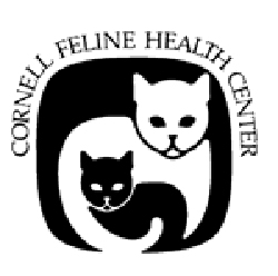 Cat Care Tips - Feline House Soiling