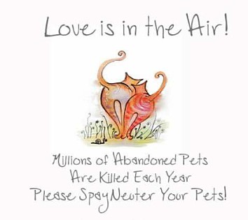 Spay or Neuter Your Pet