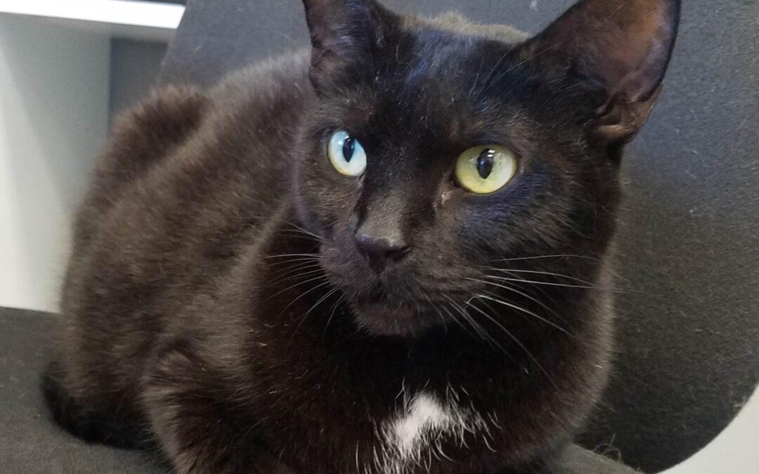 Sabrina