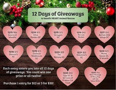 12 Days of Giveaways