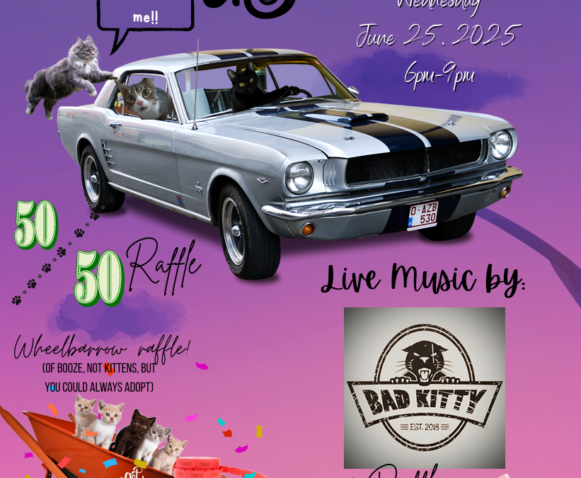 Rockin’ Buffalo Cruise Night