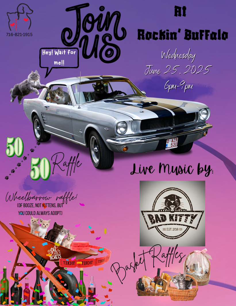 Rockin’ Buffalo Cruise Night